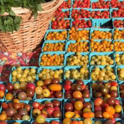 Sweet Pickled Cherry Tomatoes Neuman's Kitchen